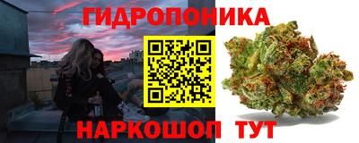 дурь Будённовск