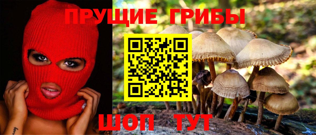 Галлюциногенные грибы прущие грибы  Вход с VPN  Бирск  Псилоцибиновые грибы мухоморы 